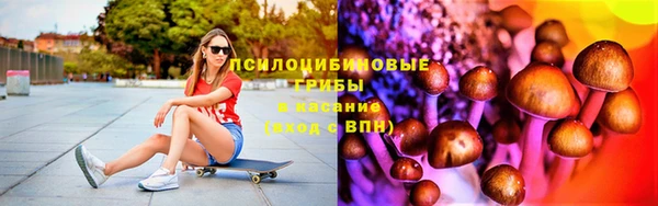 гашик Абаза