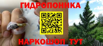 спайс Краснознаменск