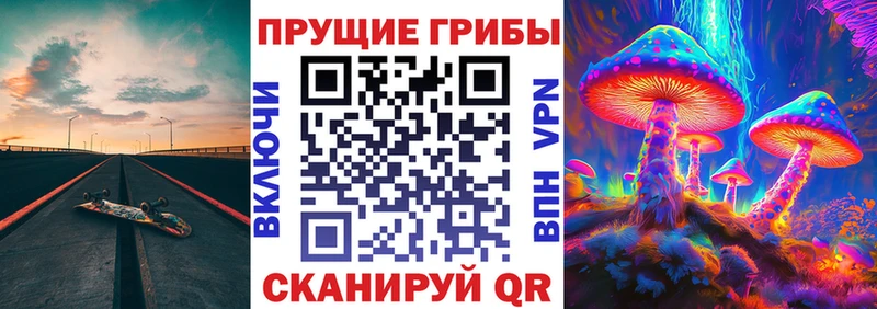 купить наркотики сайты  Златоуст  Галлюциногенные грибы Cubensis 