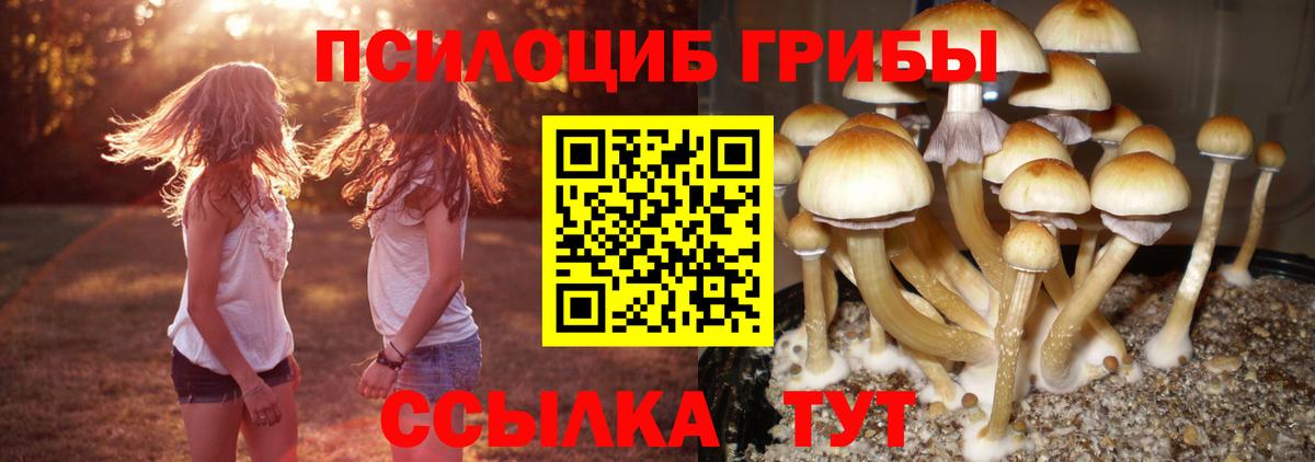 Галлюциногенные грибы Cubensis  Вход с VPN  Златоуст 