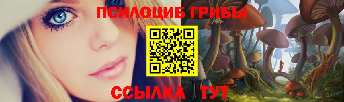 Галлюциногенные грибы Psilocybe Златоуст